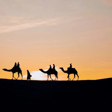 Discover the Golden City of Rajasthan - Jaisalmer