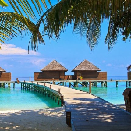 Maldives Magic